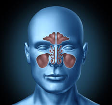sinusitis ile ilgili görsel sonucu