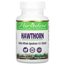 Hawthorn berry is a grouping of tree plants in the rose family that is native to the temperate regions of europe, middle east, asia, & north america. Paradise Herbs Hawthorn 60 Vegetarian Capsules Iherb