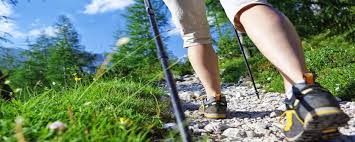 See more ideas about walking sticks, walking sticks for hiking, walking sticks and canes. How To Use A Walking Stick For Hiking
