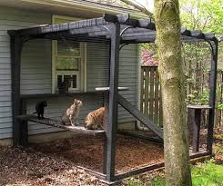 Six Catio Ideas How Will One Make My