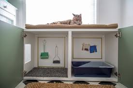 stylish diys to hide a cat litter box