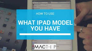 How To Tell Which Ipad Model You Have Mactip