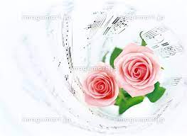 楽譜とバラの花束の写真素材 [145455556] - イメージマート さん