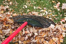 Lawn Leaf Rake With Fiberglass Handle
