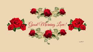 good morning rose wallpapers