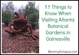 visiting atlanta botanical gardens