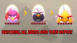 Angry Birds Evolution Bird Festival - Hatching All Six Star Birds and Event  Battle - YouTube