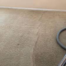 carpet cleaning in brandon fl