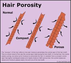 Hair Porosity And How To Determine Or Measure The Porosity