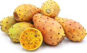 yellow cactus pears information and facts