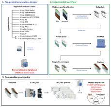 MDPI gambar png