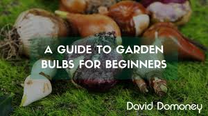 Use our unique wildflower identification tool to id a flower by color, size, characteristics. The Complete Guide To Bulbs David Domoney