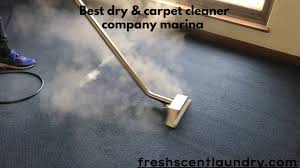 professional carpet cleaner services al