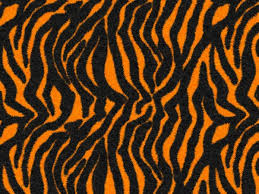 black orange tiger stripes fur texture