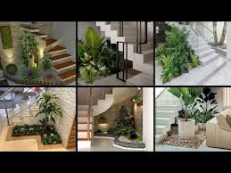 Indoor Garden Plants Interior Ideas