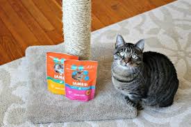 how to re sisal a cat scratching post