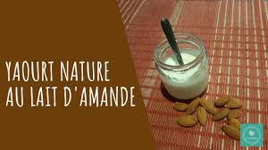 yaourt au lait d amande youcancookit fr