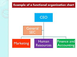 2 2 Organizational Structure Ppt Download