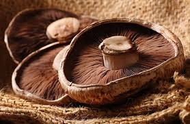 portobello mushrooms portabella