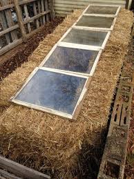 cold frames in your garden