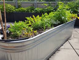 are galvanized raised garden beds safe