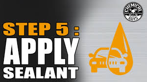 Step 5 What Is A Sealant And How To Protect Car Nissan Gt R Detailing And Car Wash Flowchart