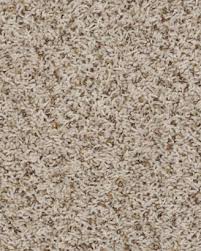 shaw carpet jones beach sand swept