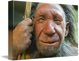 Neanderthal Man by Michael Kolvenbach