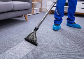 alpine carpet upholstery cleaning