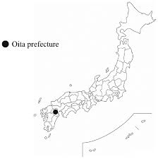 This downloadable blank map of asia makes that task easier. Map Of Japan The Black Circle Indicates The Oita Prefecture Blank Map Download Scientific Diagram