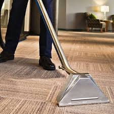 the 1 commercial carpet cleaning in