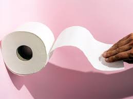 reusable toilet paper pros cons