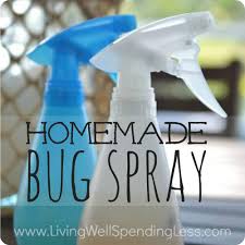 homemade bug spray living well