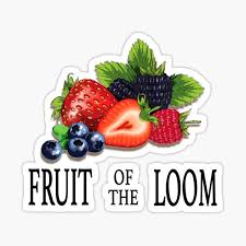 fruit of the loom gifts merchandise