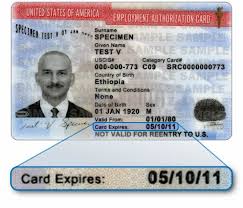 An employment authorization document (ead), also known as a work permit, is issued by united states citizenship and immigration services (uscis), allowing the holder to legally work in the united states. What Is The Current Wait Time For Daca Renewals Fileright Immigration Articles