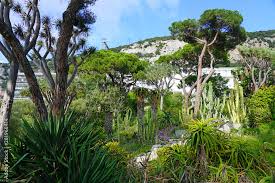 la alameda gibraltar botanic gardens