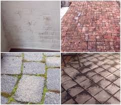Moss Algae Mould Removal In