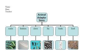 Teach Animal Adaptations With An Ms Word Diagram Ask A