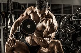 how to get wider biceps the 10 best