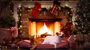 Streaming Fireplaces For The Holidays