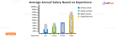 data yst salary in india in 2024