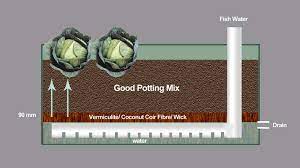 Create A Wicking Bed Garden For Easy