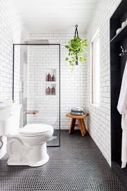 25 Brilliant Bathroom Shelf Ideas And
