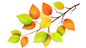 leaves png images transpa free