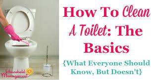 How To Clean A Toilet The Basics