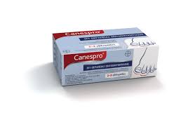 canespro fungal nail treatment 1 set
