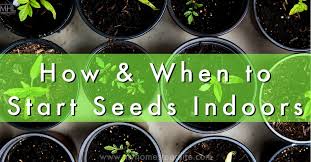 when to start seeds for my garden my