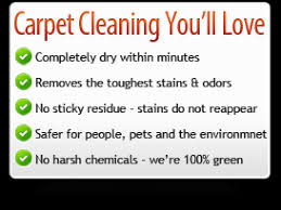 green solutions carpet cleaning salt