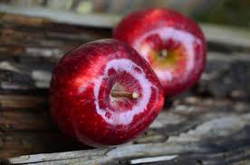 Download now apel segar hijau foto gratis di pixabay. 50 Gambar Buah Buahan Segar Wallpaper Buah Lengkap Hd Salamadian