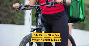 54 55cm bike for what height size